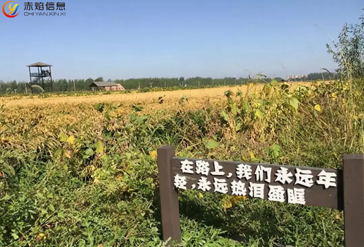 1669253513516081.png 1.png