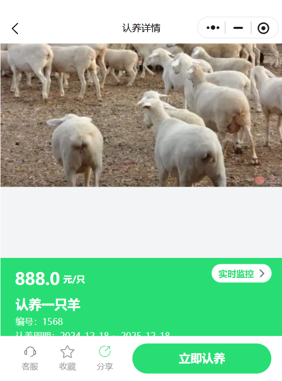 1761788343720227.png 4.png