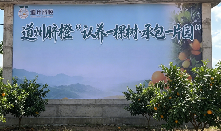 c57d44e6dbdfdf88d94c8a67efc1c600.png