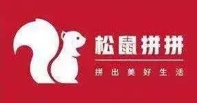 松鼠拼拼社区团购系统开发，社区团购怎么做？