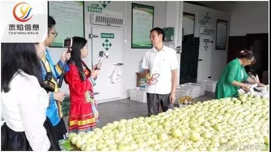 社区团购平台以直播形式卖菜，可行吗？