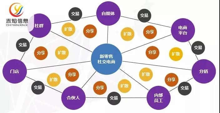 社交型电商模式的崛起，揭示了零售行业的哪些发展趋势？