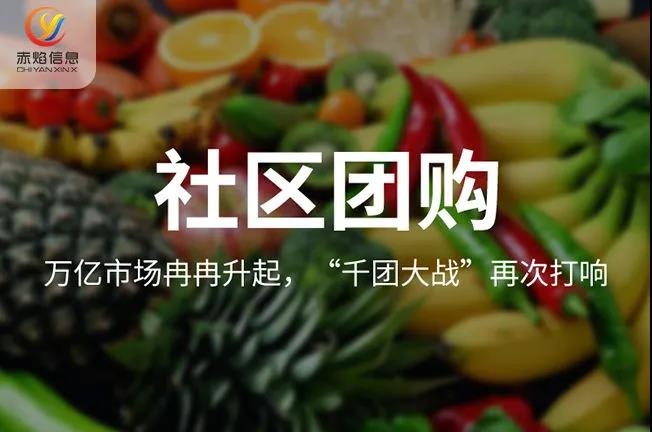 中国超市零售业：数字化+新业态发展，社区团购模式受认可