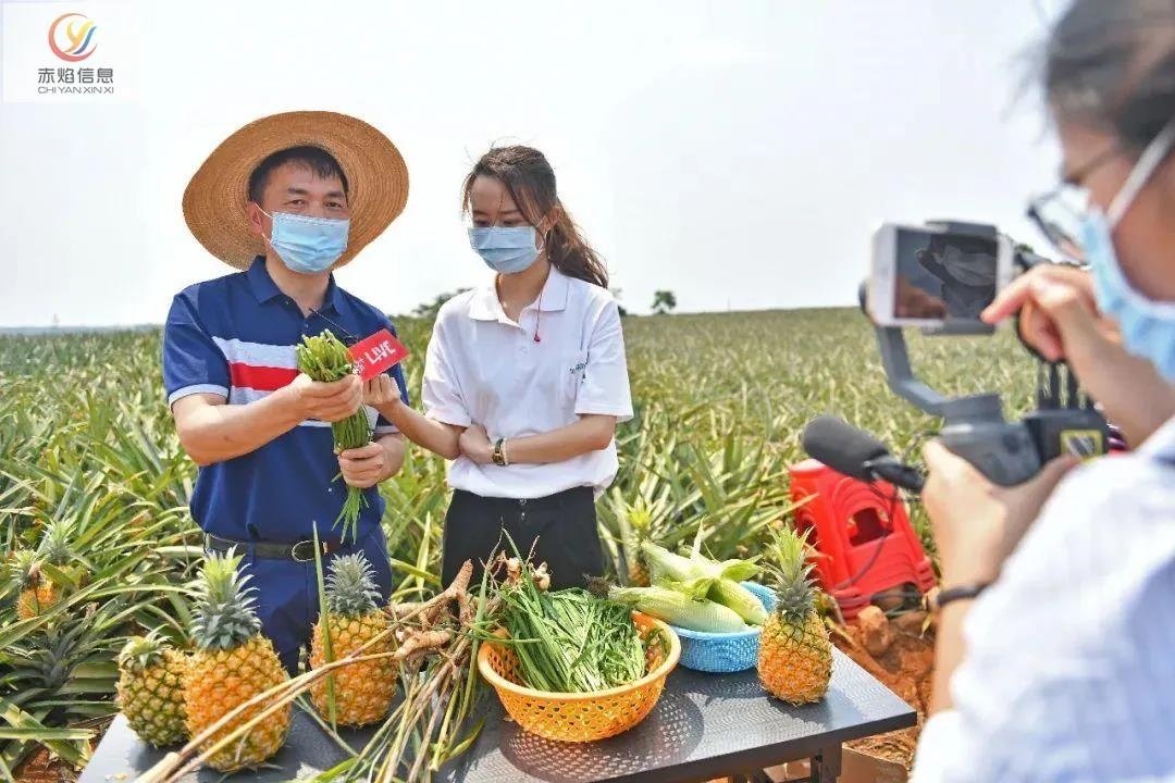 社区团购下，如何开启直播带货，应该从哪里入手？