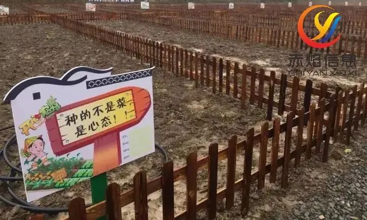 共享农场小程序，运营更方便，更值得信赖
