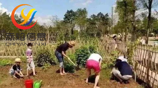 共享经济：“认养农业”将成为共享经济的新表现？