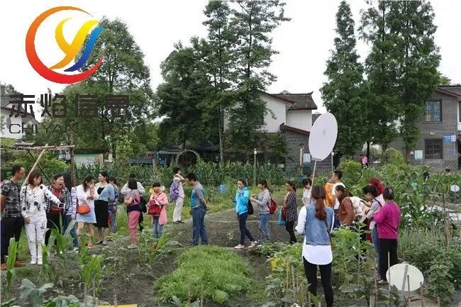 共享农场小程序系统，让农场主卖的好，管理员管的更好
