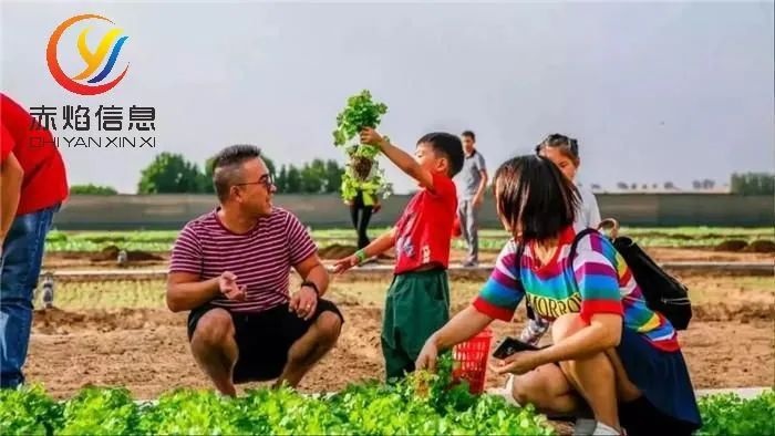 共享农场：共享经济的新形态，现代共享农庄的运营模式有哪几种？