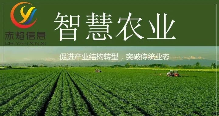 共享农场：共享农场的“三赢之道”，你知道吗？