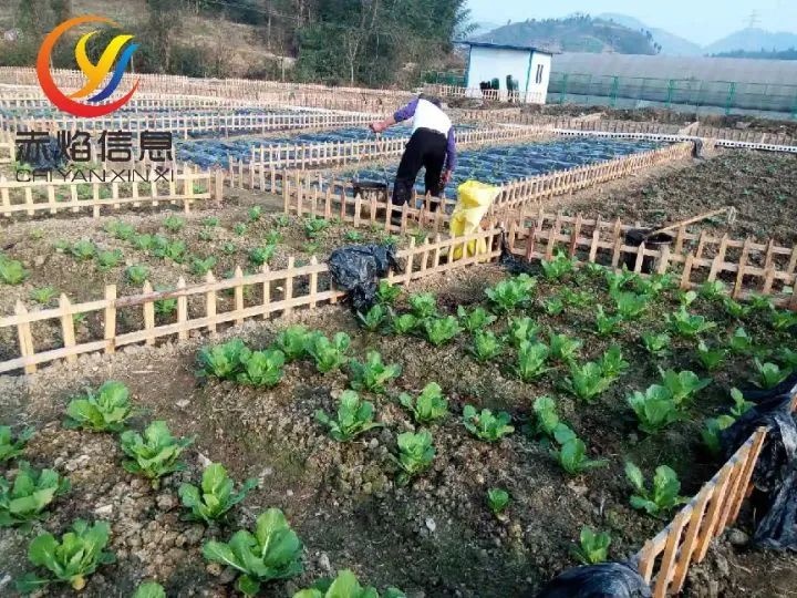 “共享农场”将成为一种新时尚，共享农场的方式又有哪些呢？