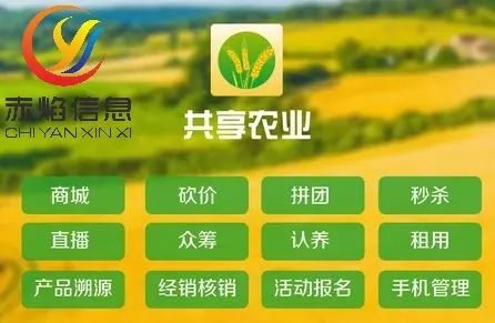 共享农场：把闲置荒废的农房、田地有效利用起来，打造大联盟？