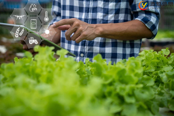 互联网时代下，农业认养小程序开发的优势有哪些？