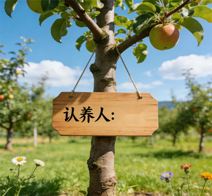 1765848032617158.png 1.png