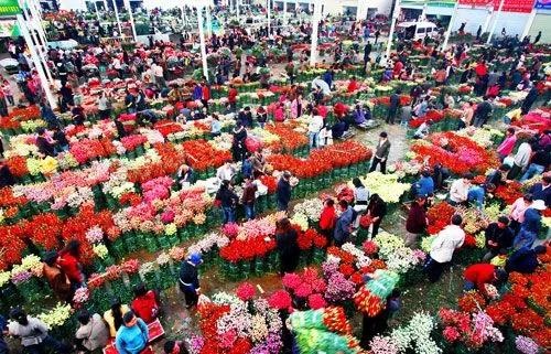 700亿鲜花行业生意怎么做?抖音小程序如何给鲜花行业带来巨大销量