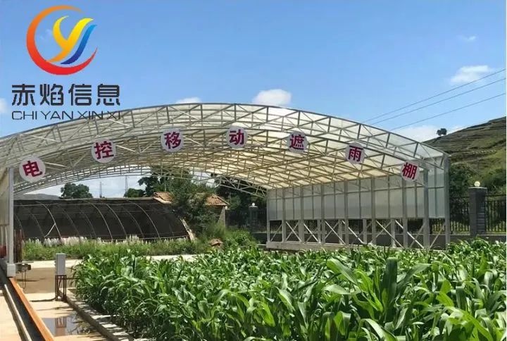 共享农业模式：认准发展方向，助力乡村振兴战略